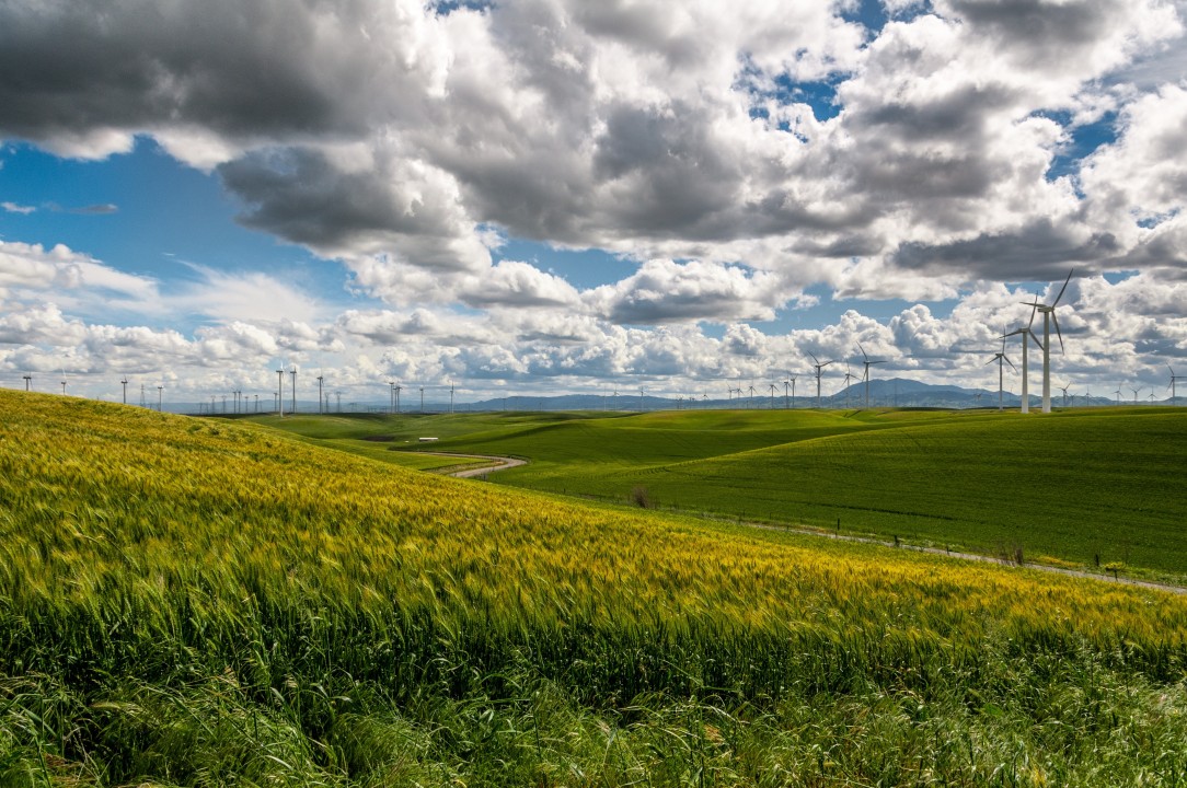 Wind turbines on a green hillside under clouds.